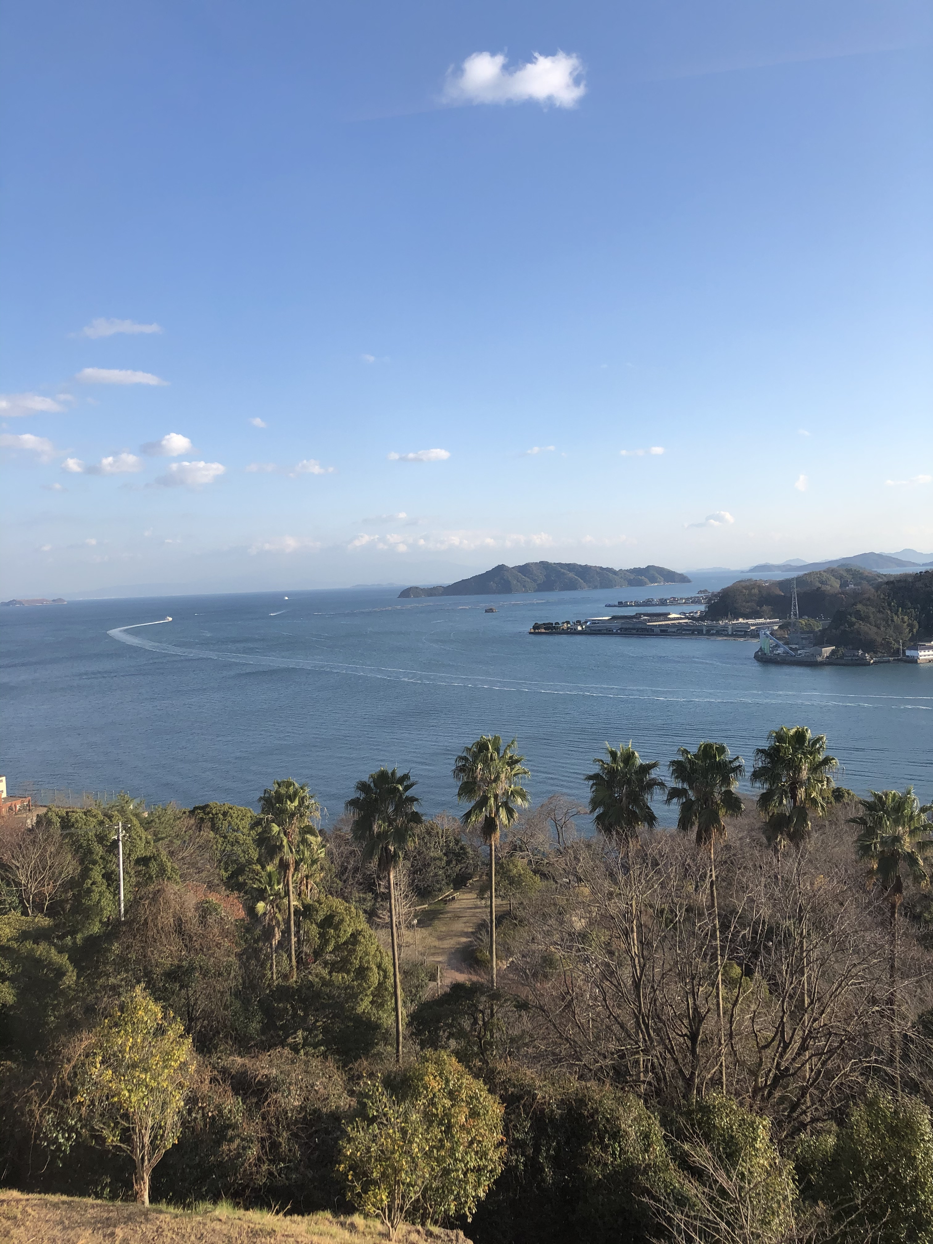 初めまして?