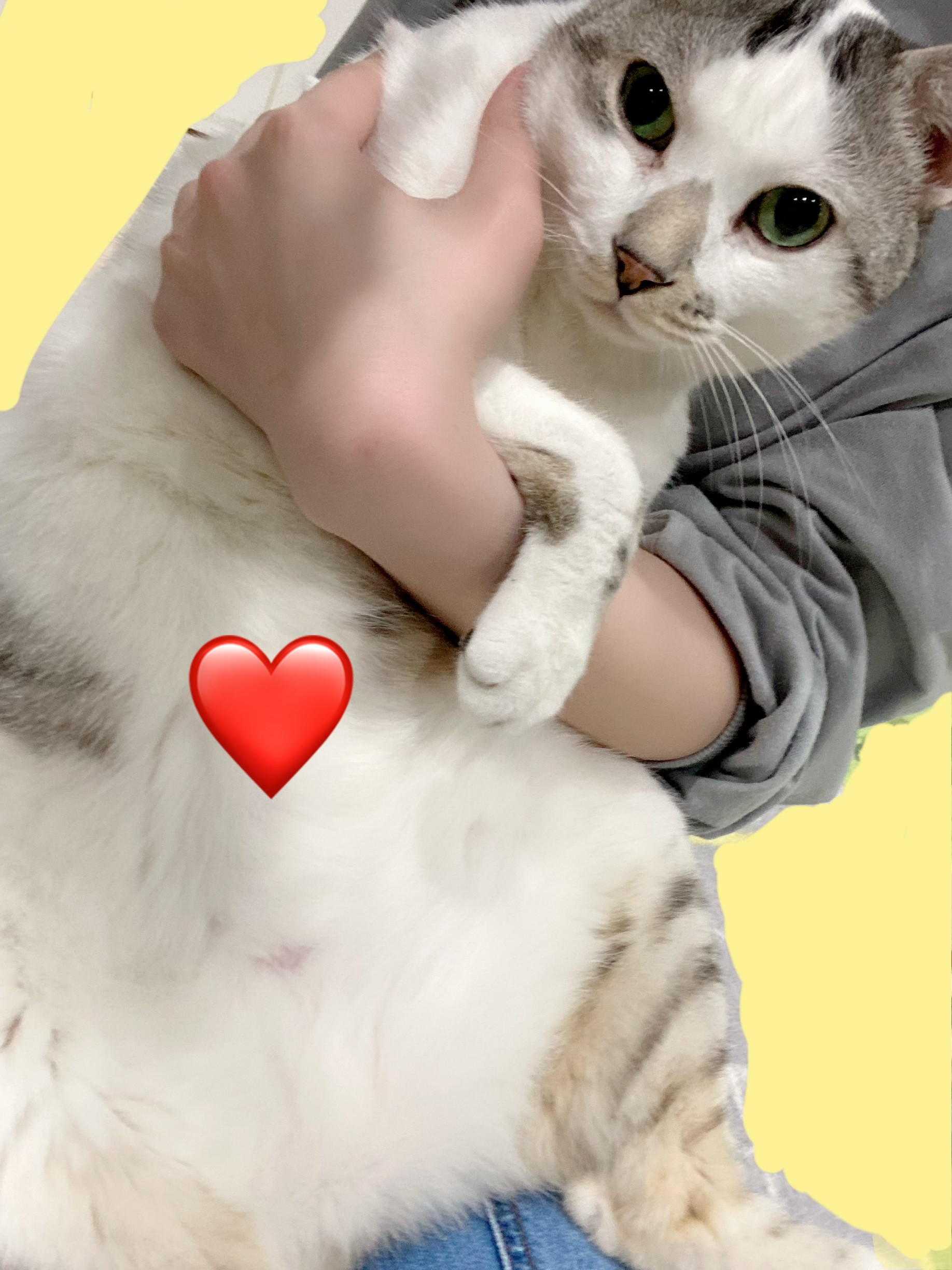 最近