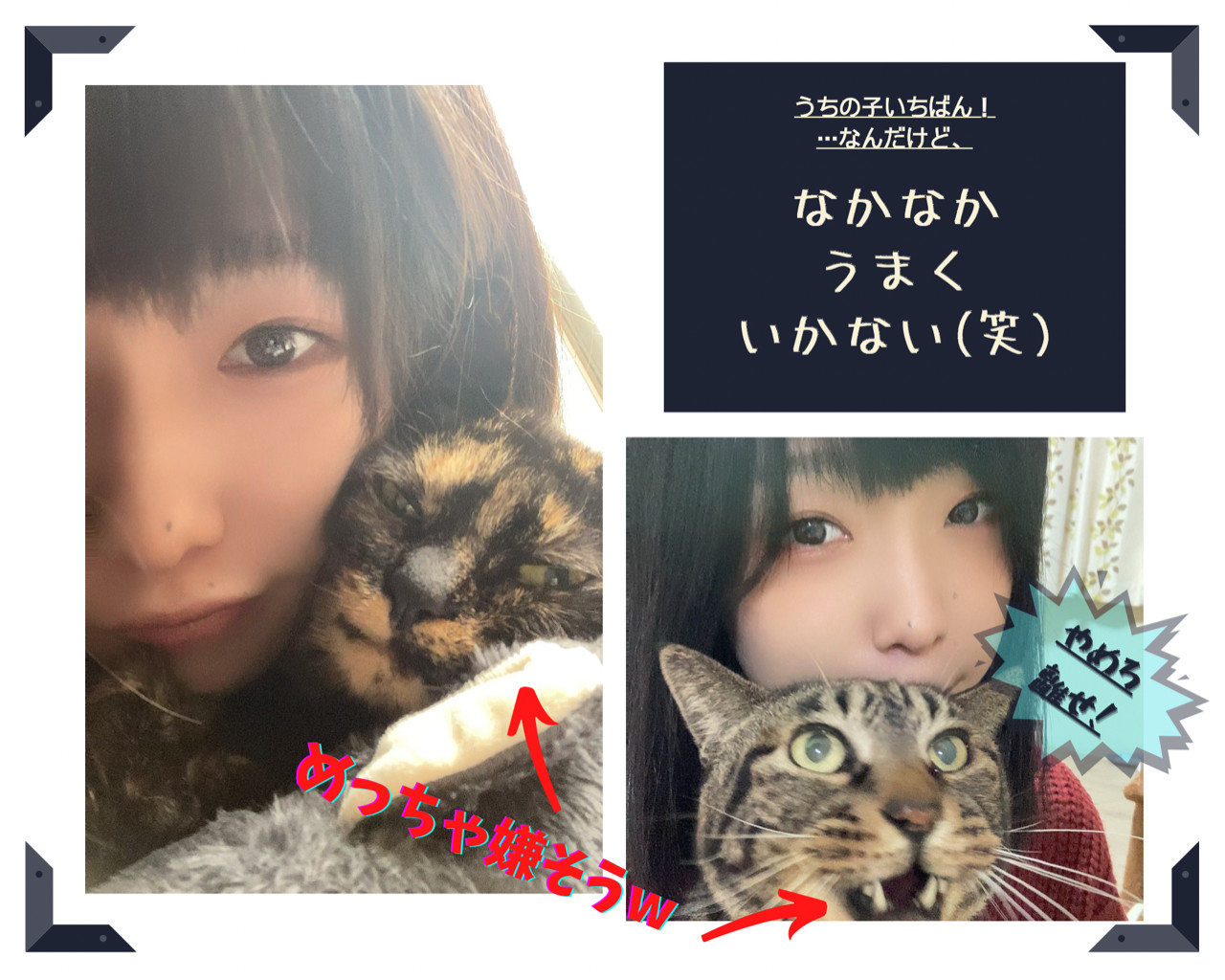 うちの子いちばん!
