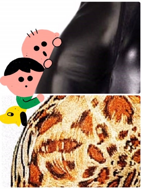 友梨、母になる(´・ω・`)?